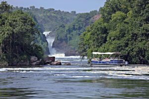 4 Days Trip to Murchison Falls National Park